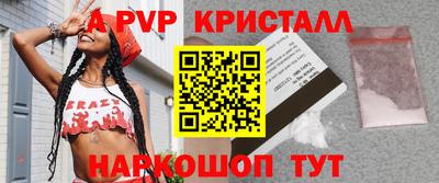 spice Гатчина