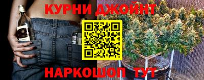 мдпв Гай