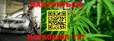 spice Гатчина