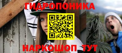 крисы Бузулук