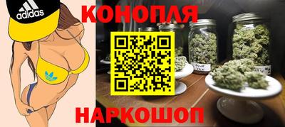 spice Гатчина