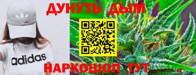 spice Гатчина