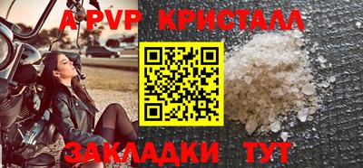 spice Гатчина