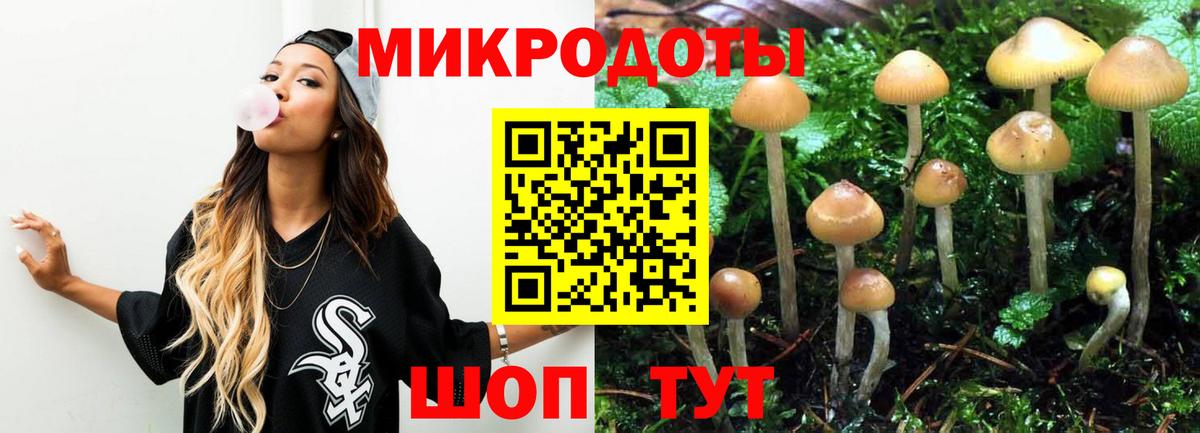 Псилоцибиновые грибы мицелий  Вход с VPN  Жигулёвск  Псилоцибиновые грибы прущие грибы 