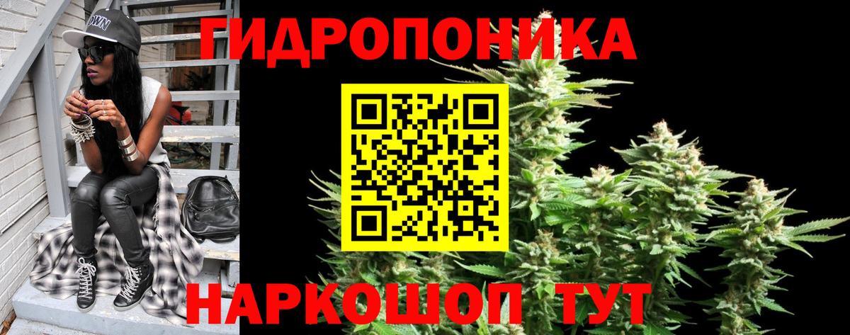 Шишки марихуана Amnesia Жигулёвск